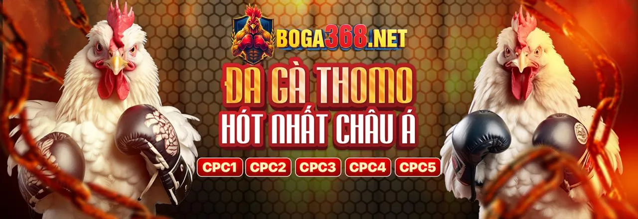Đá Gà Trực Tuyến Hấp Dẫn tại agbong88 login